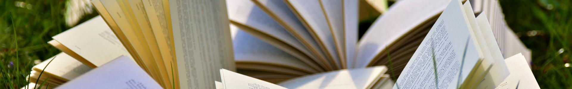 Overige publicaties TOPGGz