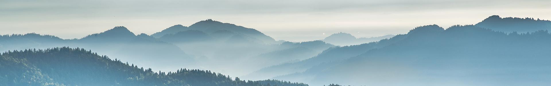 TOPGGz TOP-consortium