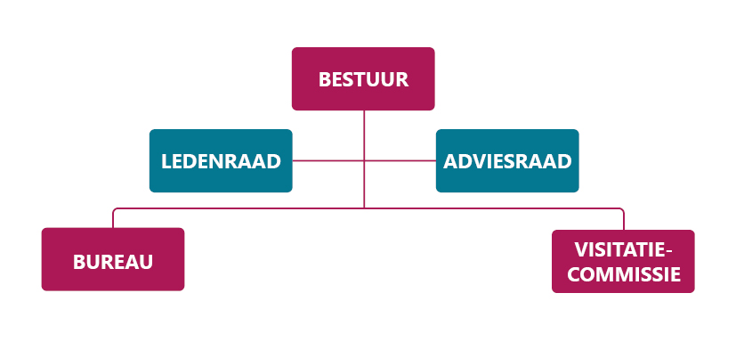 Organisatiestructuur TOPGGz